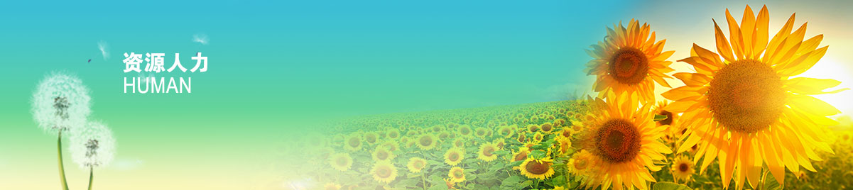 CA88(中国集团)官方网站